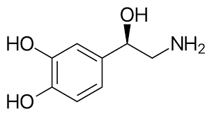 Monoamine neurotransmitter diagram